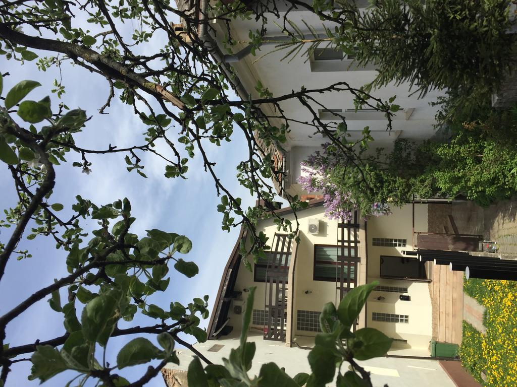 Casa Transilvania 布拉索夫 外观 照片